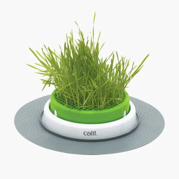 Catit Senses 2.0 Grass Planter - Pet Supply UAE