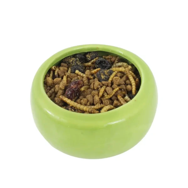 Exotic Nutrition Berries & Bugs Diet - Pet Supply UAE