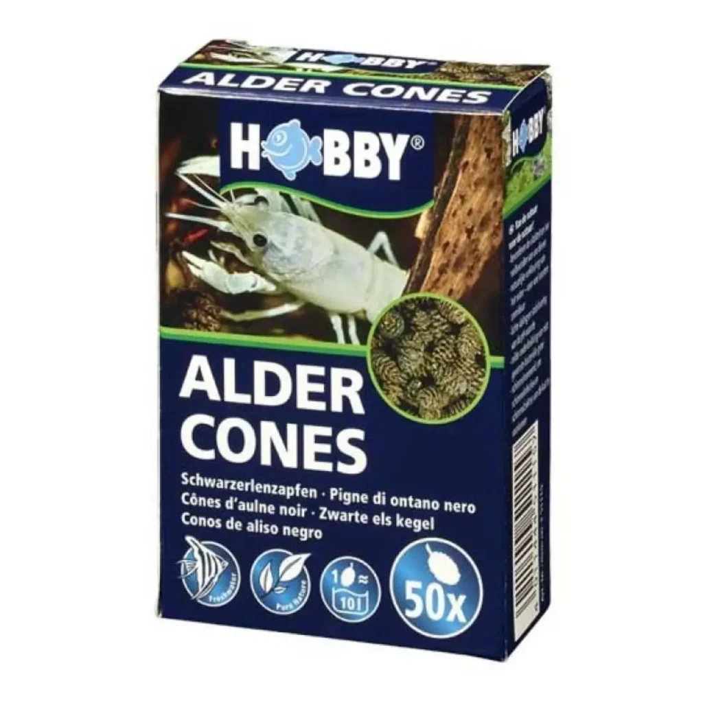 Hobby Alder Cones (50 pcs) - Pet Supply UAE