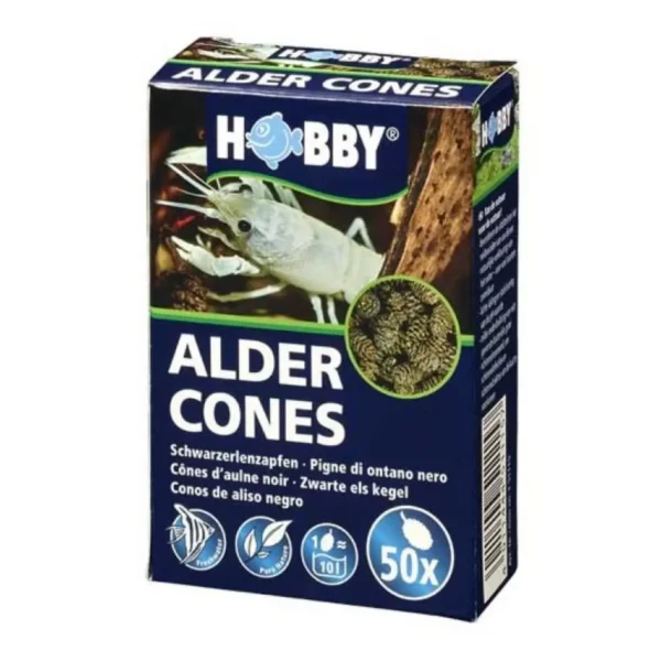 Hobby Alder Cones (50 pcs) - Pet Supply UAE