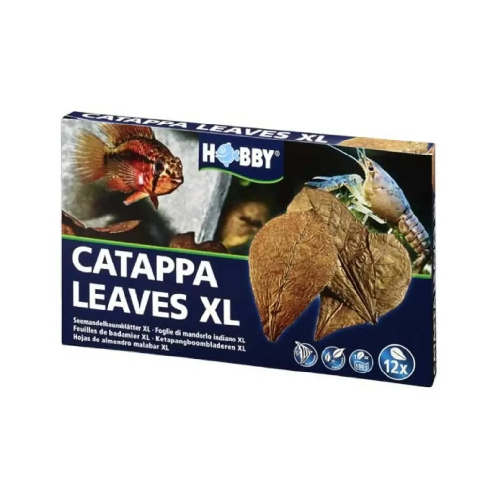 Hobby Catappa Leaves XL (12 pcs) - Pet Supply UAE