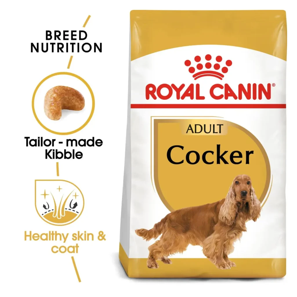 Royal Canin Breed Health - Cocker Spaniel Adult (3kg) - Pet Supply UAE
