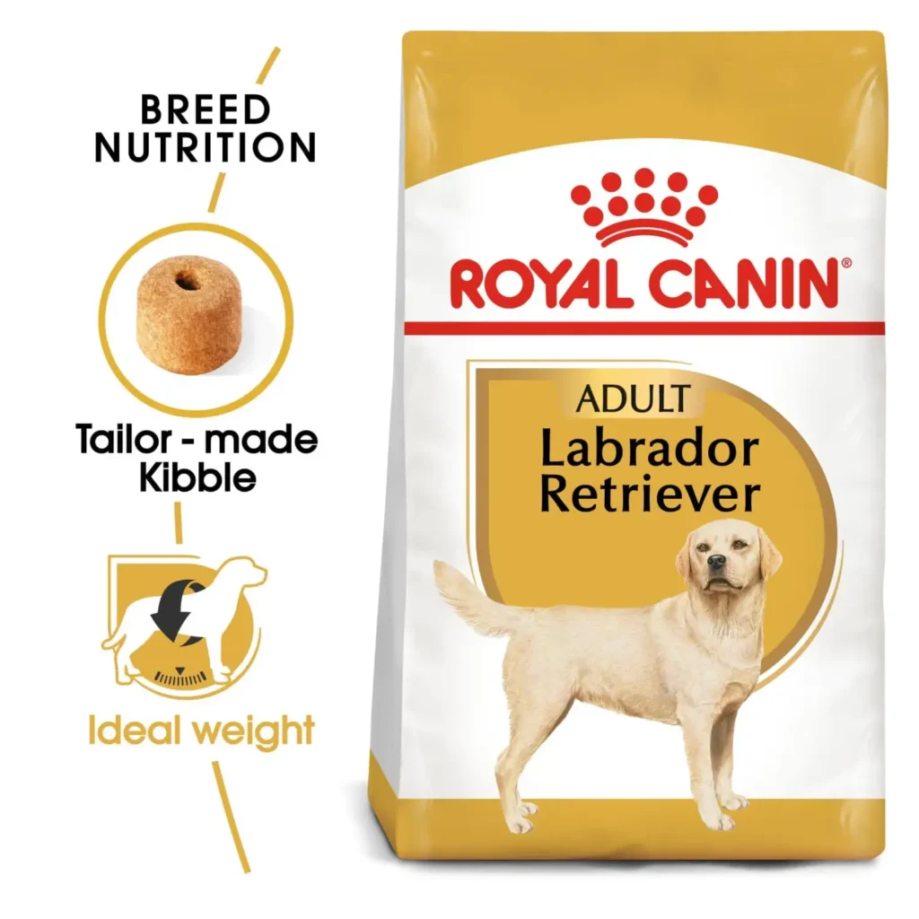 Royal Canin Breed Health Labrador Adult - Pet Supply UAE