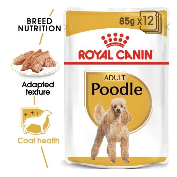 Royal-Canin-Breed-Health-Poodle-Wet-Food-12x85g-Pet-Supply-UAE