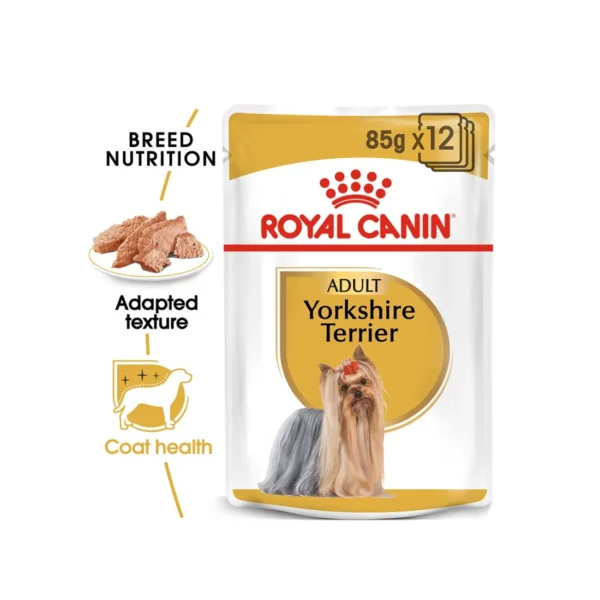 Royal-Canin-Breed-Health-Yorkie-Wet-Food-12x85g-Pet-Supply-UAE