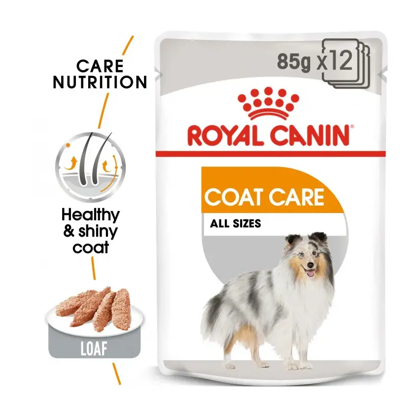 Royal-Canin-Canine-Care-Coat-Beauty-Wet-Food-Pouches-12x85g-Pet-Supply-UAE