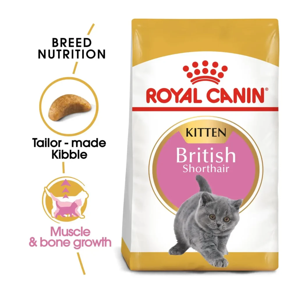 Royal Canin Feline Breed Nutrition - British Shorthair Kitten (2kg) - Pet Supply UAE