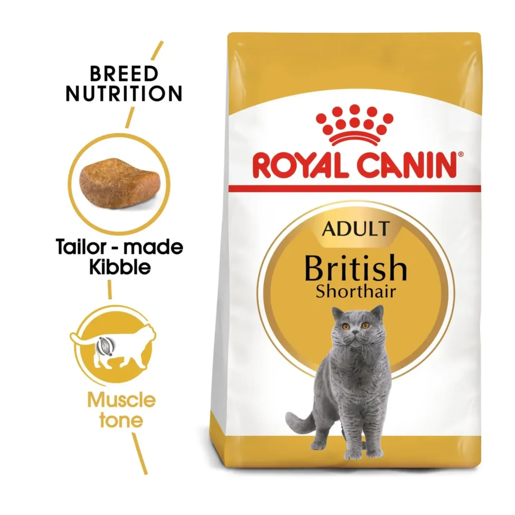 Royal Canin Feline Breed Nutrition - British Shorthair - Pet Supply UAE
