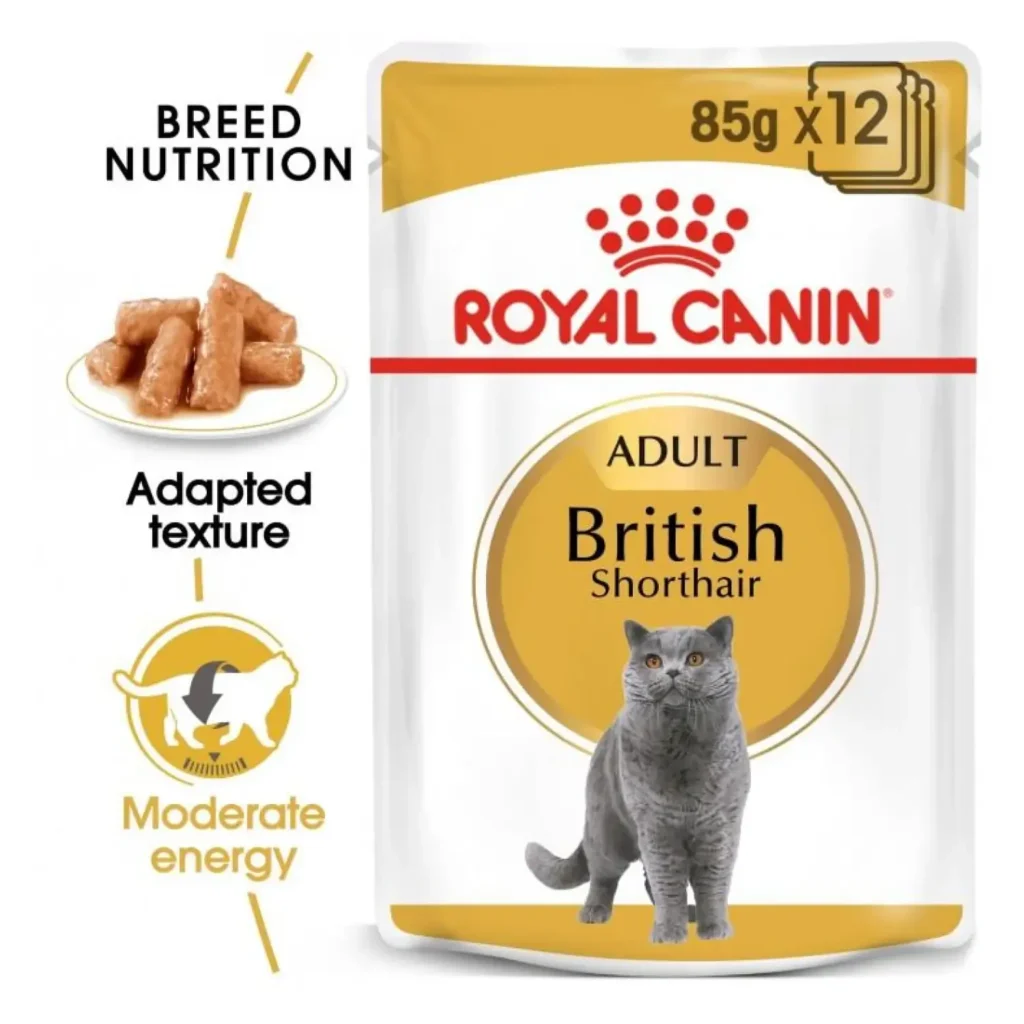 Royal Canin Feline Breed Nutrition - British Shorthair in Gravy (12x85g) - Pet Supply UAE