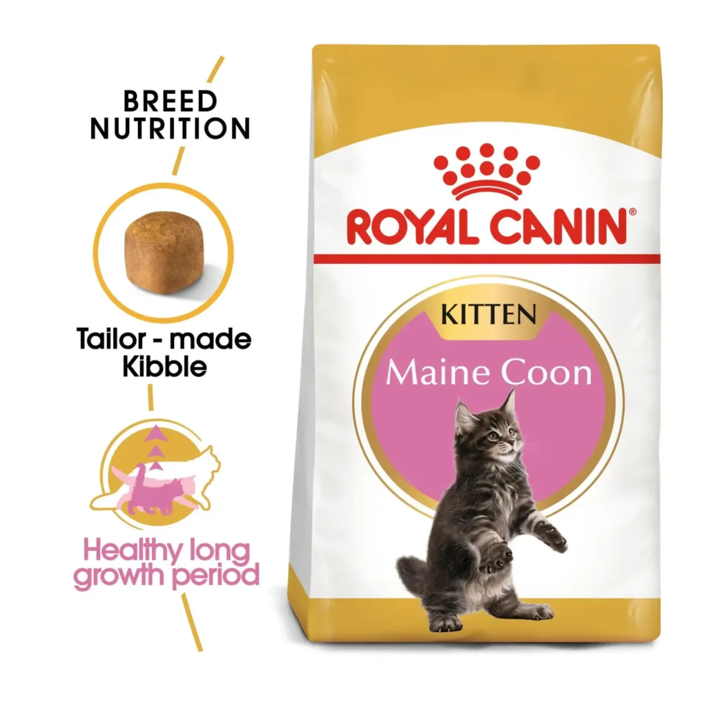 Royal Canin Feline Breed Nutrition - Maine Coon Kitten (2kg) - Pet Supply UAE