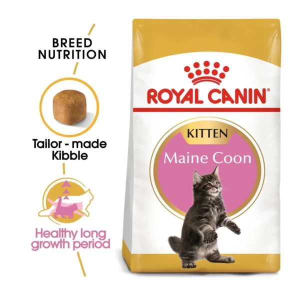 Royal Canin Feline Breed Nutrition - Maine Coon Kitten (2kg) - Pet Supply UAE