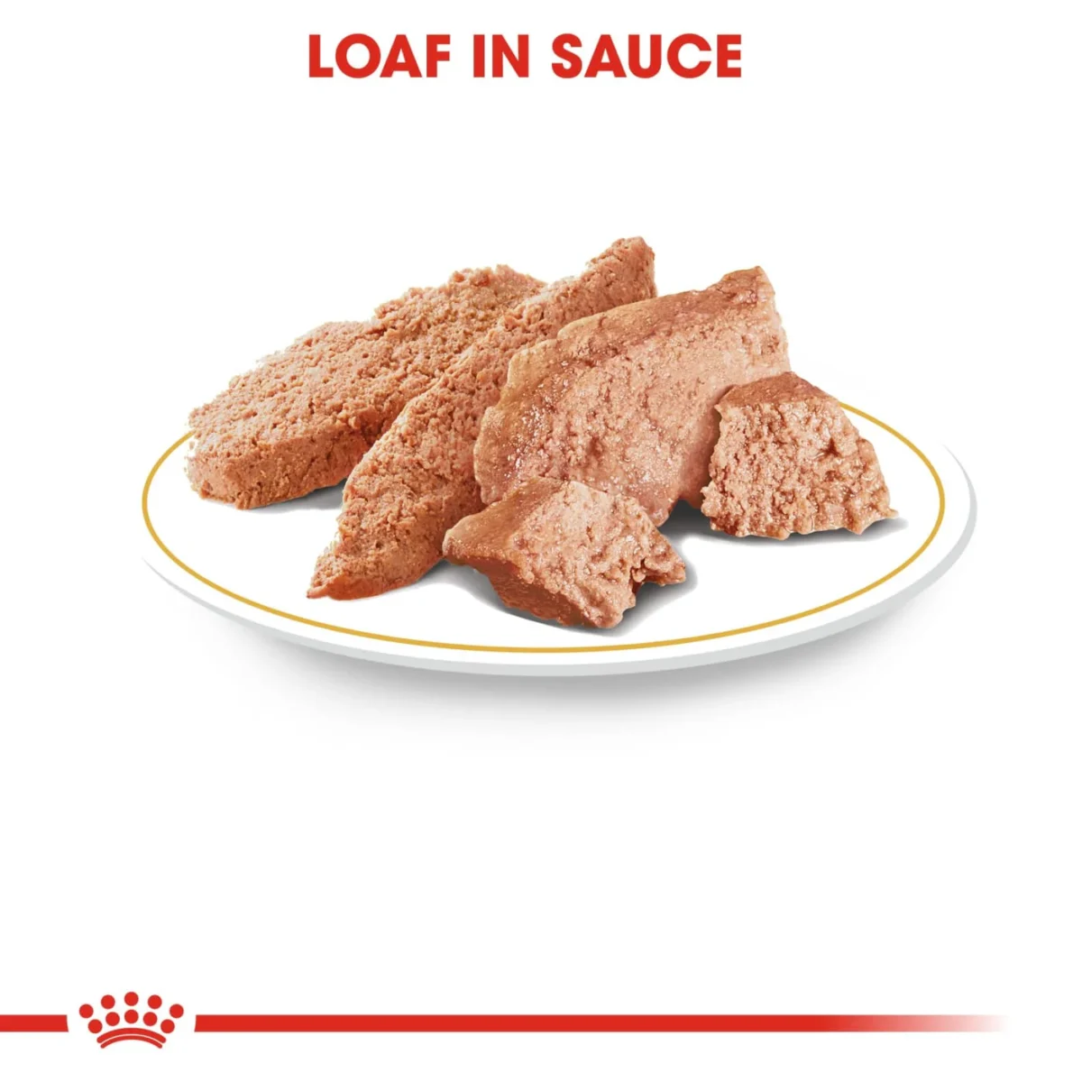 royal-canin-bhn-chihuahua-wet-food
