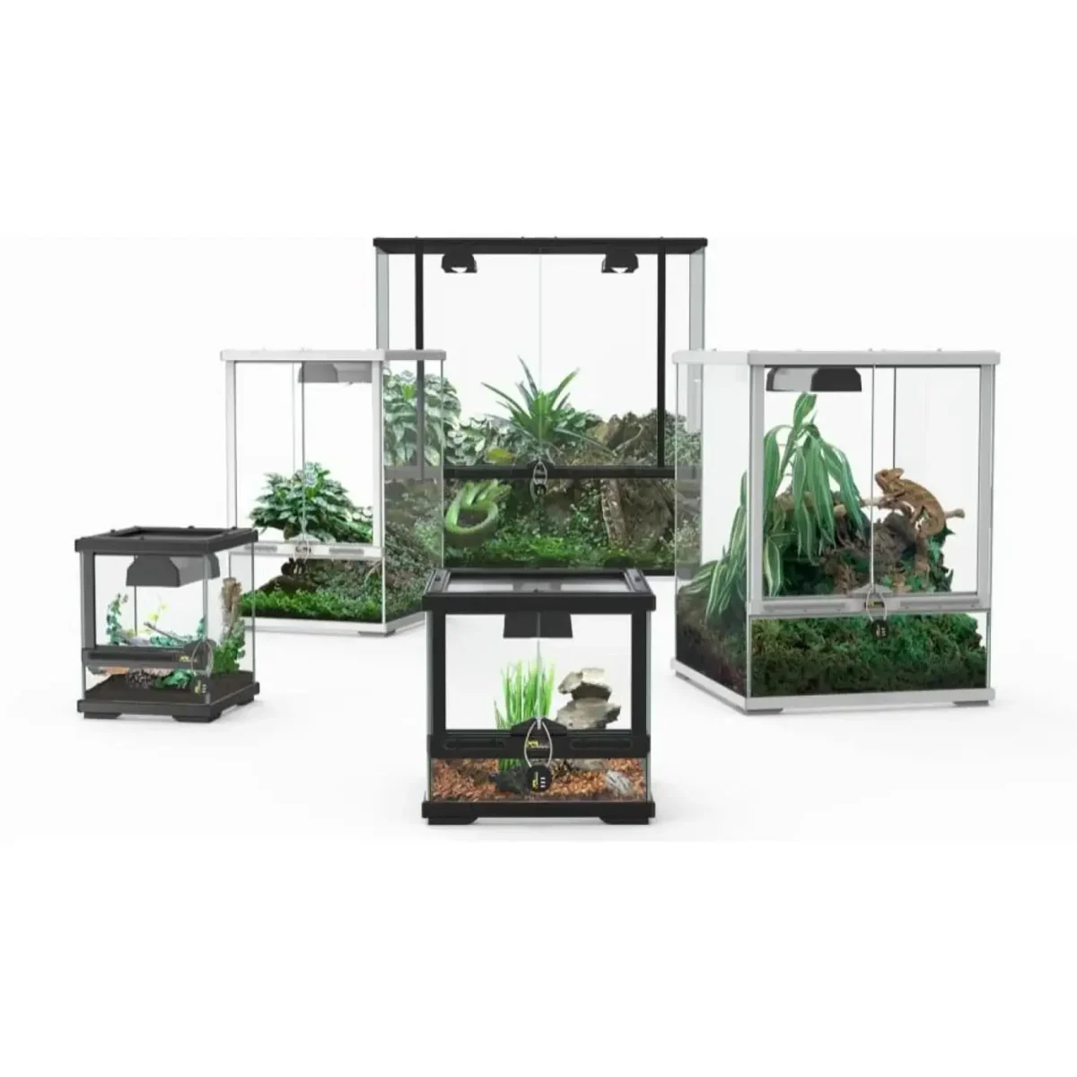 Terratlantis Terrariums - Pet Supply UAE