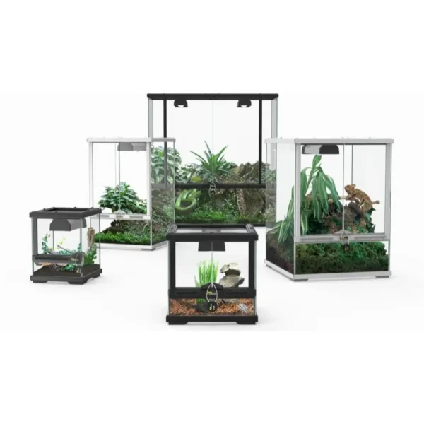 Terratlantis Terrariums - Pet Supply UAE